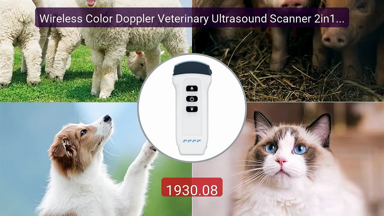 Wireless Color Doppler Veterinary Ultrasound Scanner 2in1 Conv... -- Best Buy 2026 | Great Quality!
