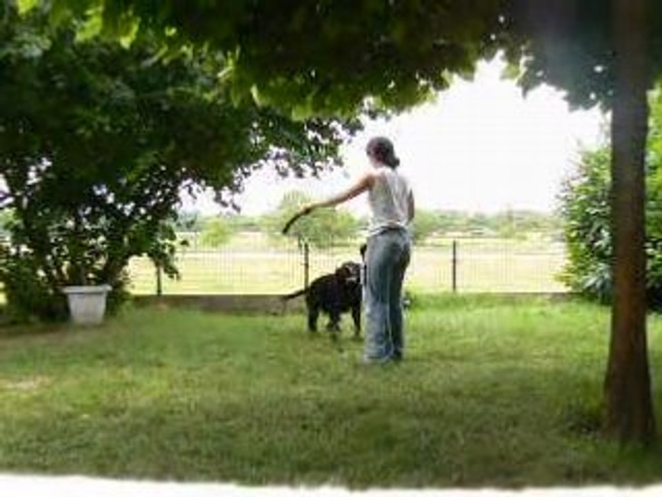 Alto obr jardin4
