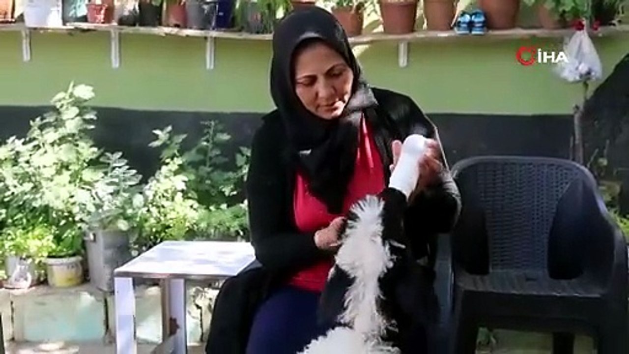 Lösemide Kaybettiği Kızının Ardından Teselliyi Kuzusunda Buldu