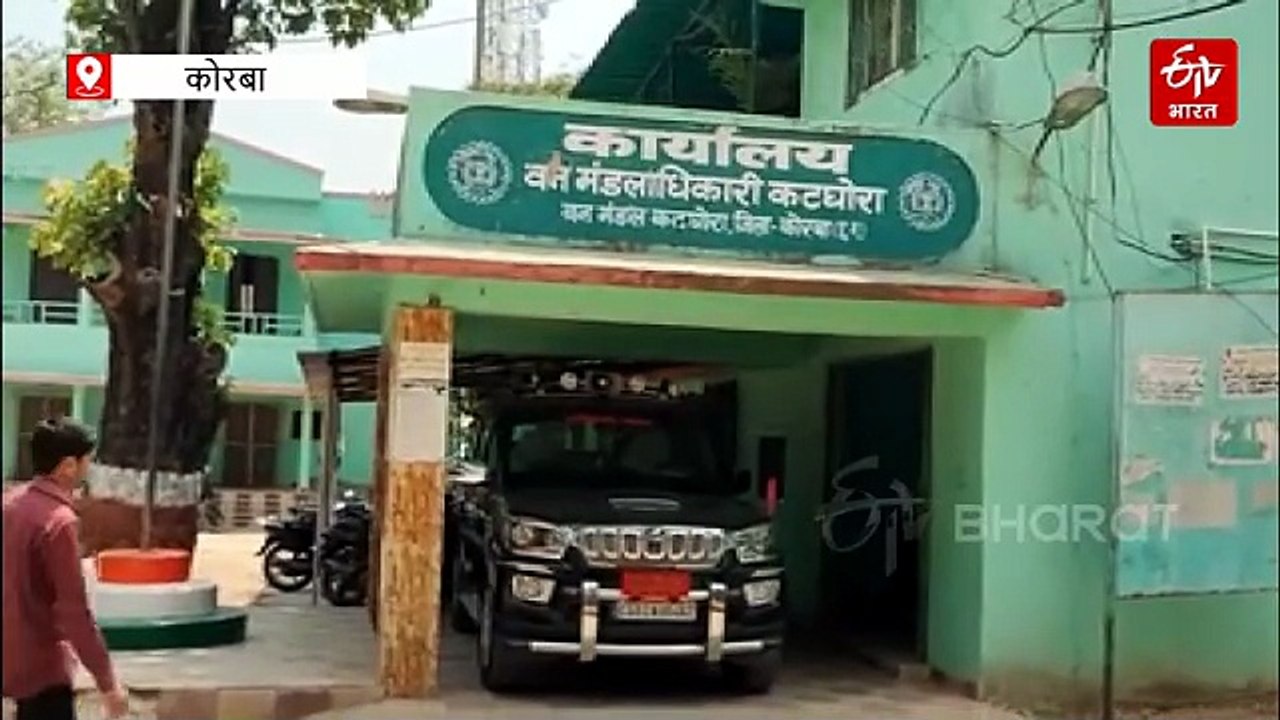हाथी के हमले से युवक की मौत, हाथी दल के पीछे दौड़ते वक्त हुई घटना,जटगा वन परिक्षेत्र की घटना