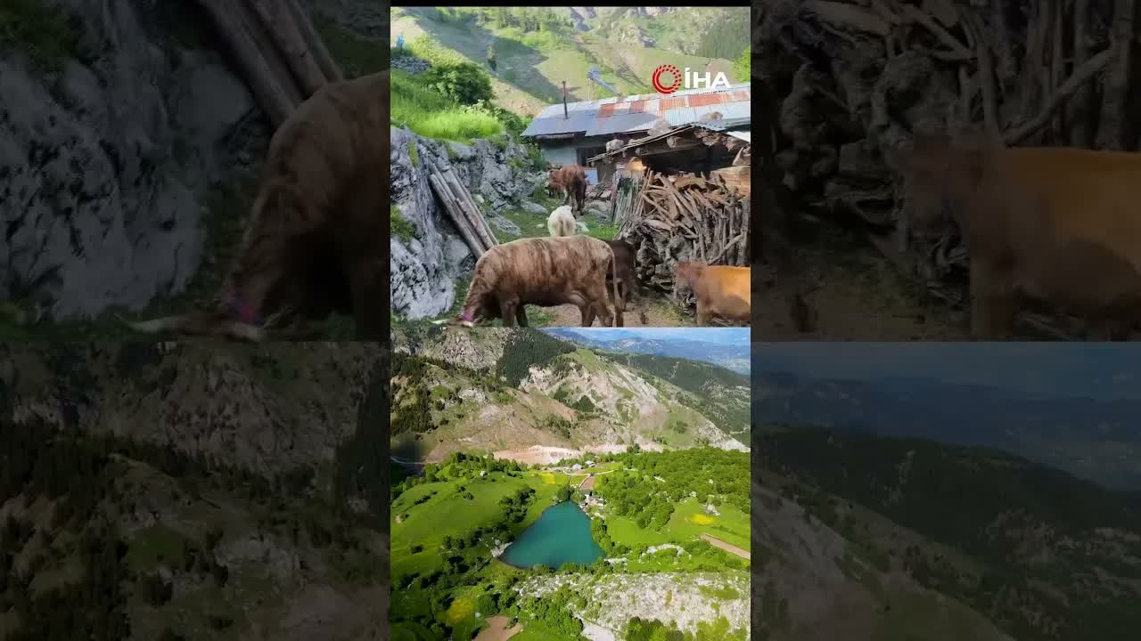 Tamamı ahşap evlerden oluşan köy doğasıyla mest ediyor