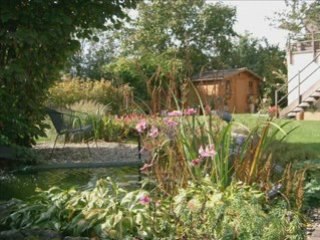 Mon jardin 2007-du printemps à Halloween 11.10.2007