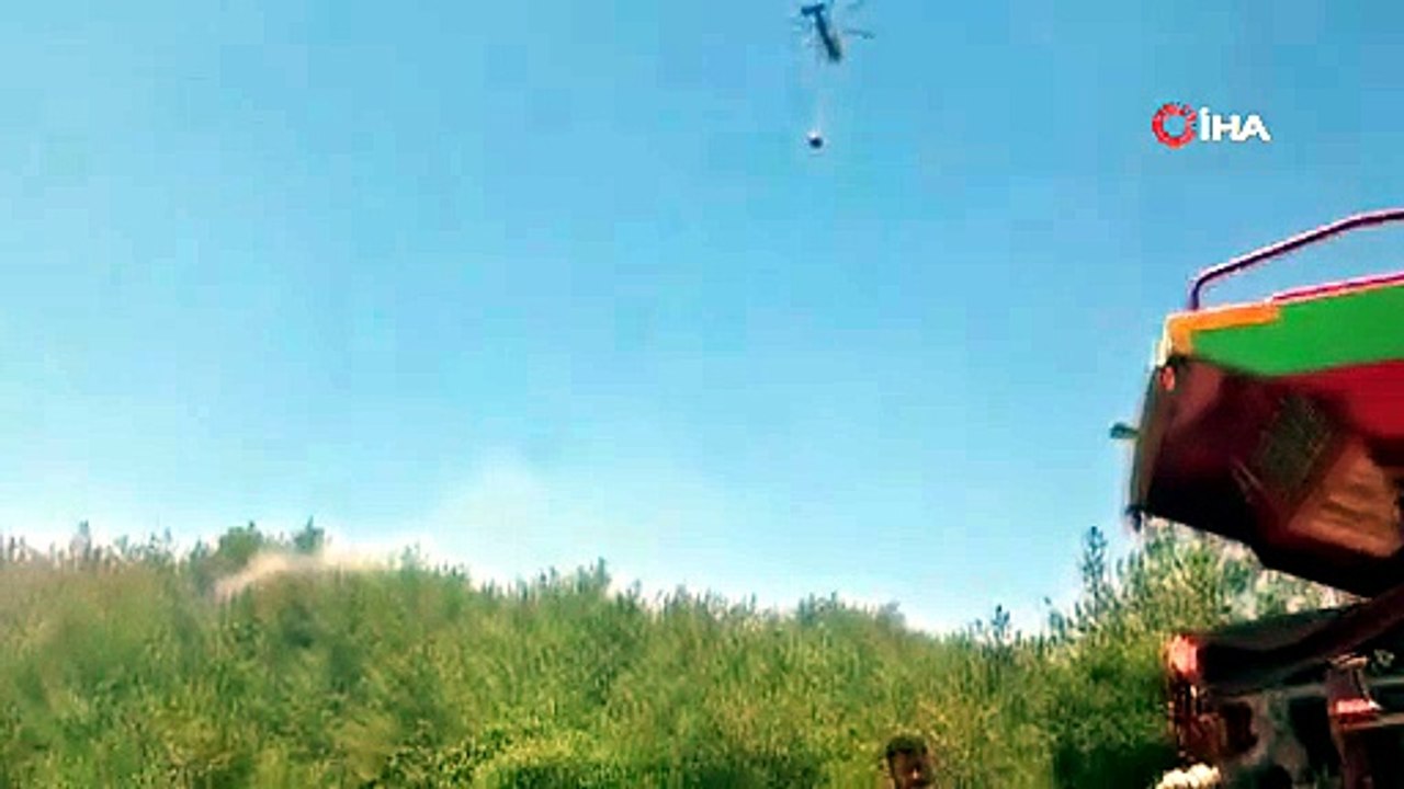 Otomobil yangını ormanı da yaktı
