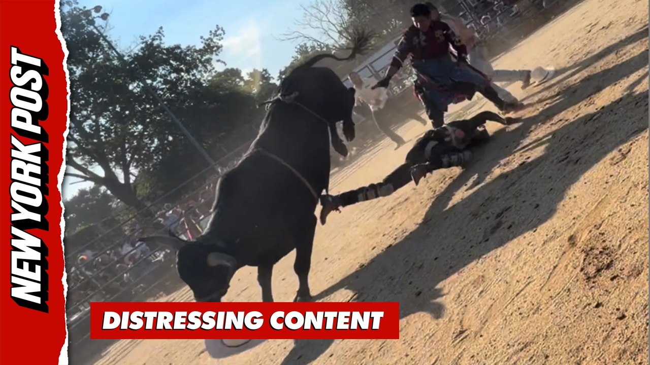 Bull Rider Hospitalized After Being Trampled at NYC Rodeo