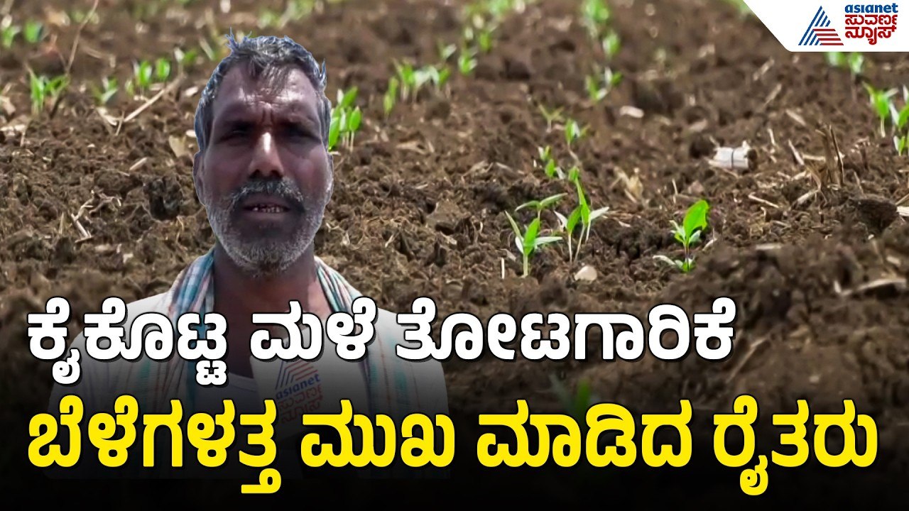 ಮಳೆ ಇಲ್ಲದೆ ಕಂಗಾಲಾದ ರೈತರು: ತೋಟಗಾರಿಕೆ ಬೆಳೆಗಳೇ ದಾರಿ | Bagalkot | Rain Delay | Suvarna News