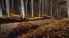 Only a Car BMW Commercial
