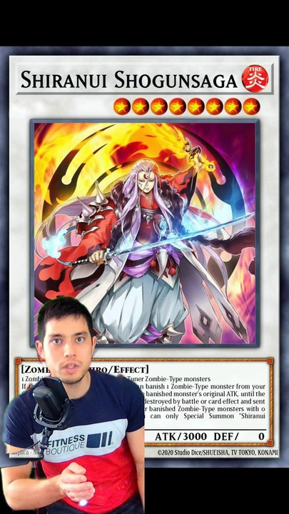 L'HISTOIRE DES MAYAKASHI