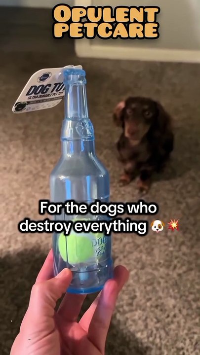 Water Bottle Dog Toy That Satisfies Aggressive Chewers — Squeaky, Crunchy & Indestructible