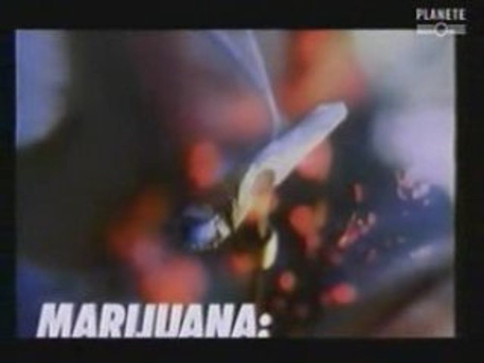 cannabis_prohibition_usa part6