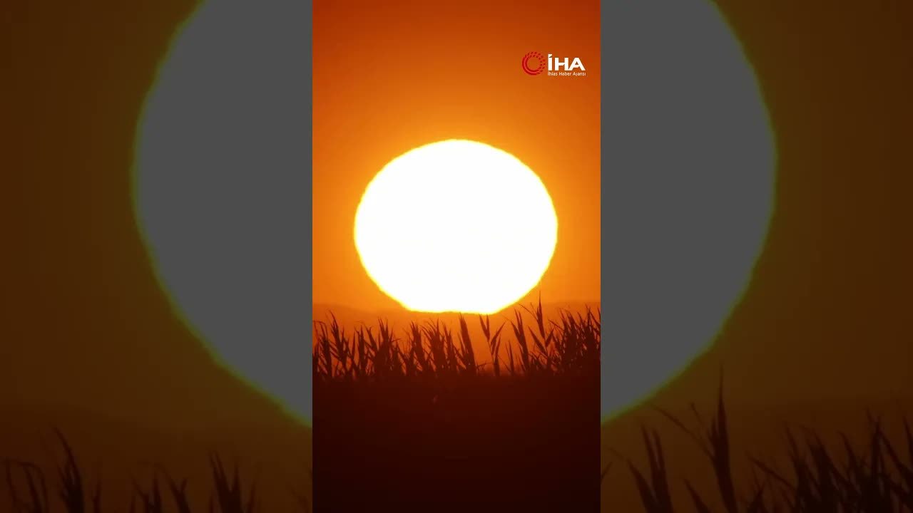 Bitlis'te gün batımı kuşların muhteşem dansına sahne oldu