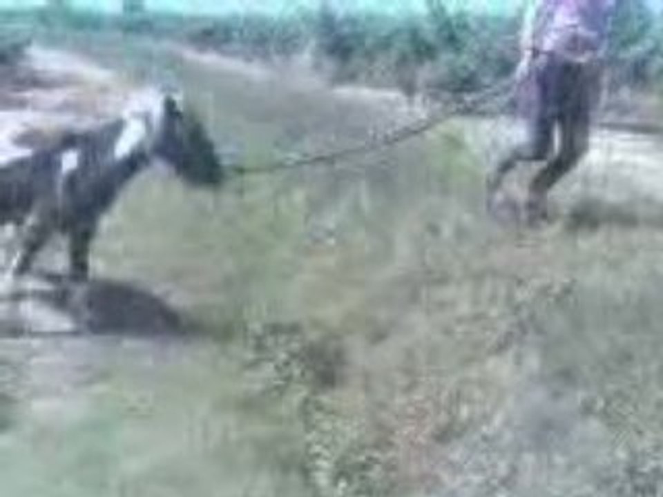 Tornade qui saute le fossé =)