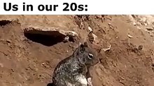 How your 20s actually feel: