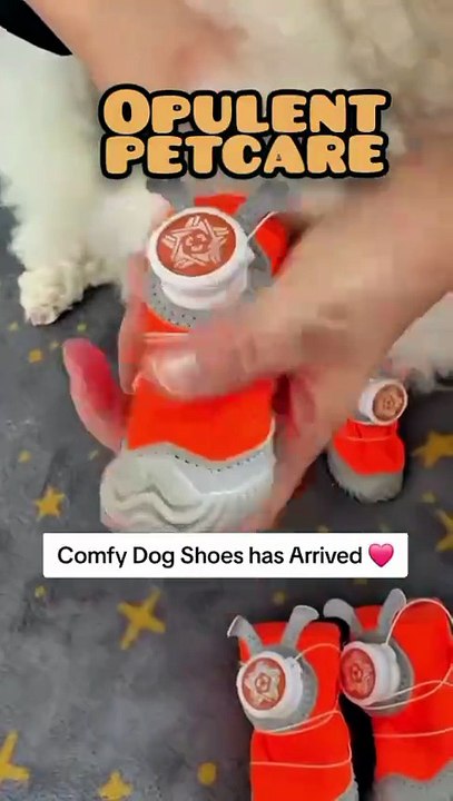 Small Dog Must-Have! Soft Sole Paw Protector Shoes — Comfortable & Affordable
