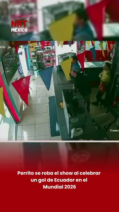 Perrito se roba el show al celebrar un gol de Ecuador en el Mundial 2026