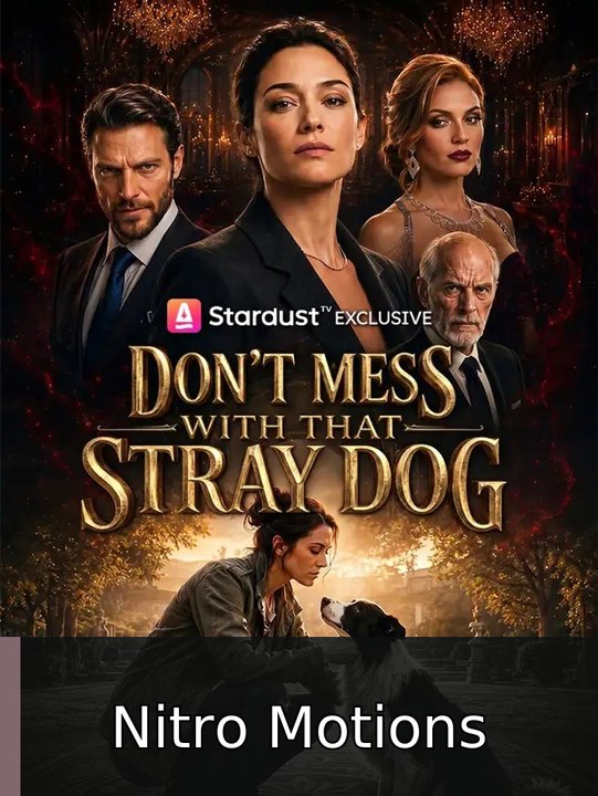 Don't Mess with That Stray Dog | Nitro Motions