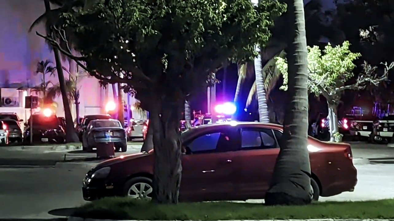 Hallan sin vida a turista atacado por un cocodrilo en Vallarta | CPS Noticias Puerto Vallarta