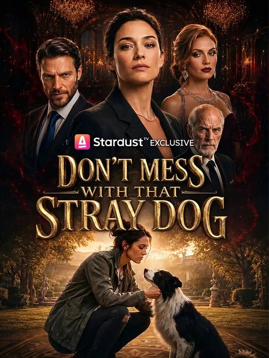 Don't Mess with That Stray Dog EP