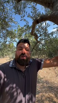 Michele monopoli story oggi un discorso serio
