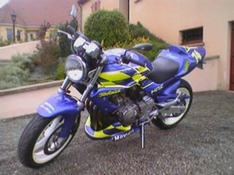 Clip hornet 2