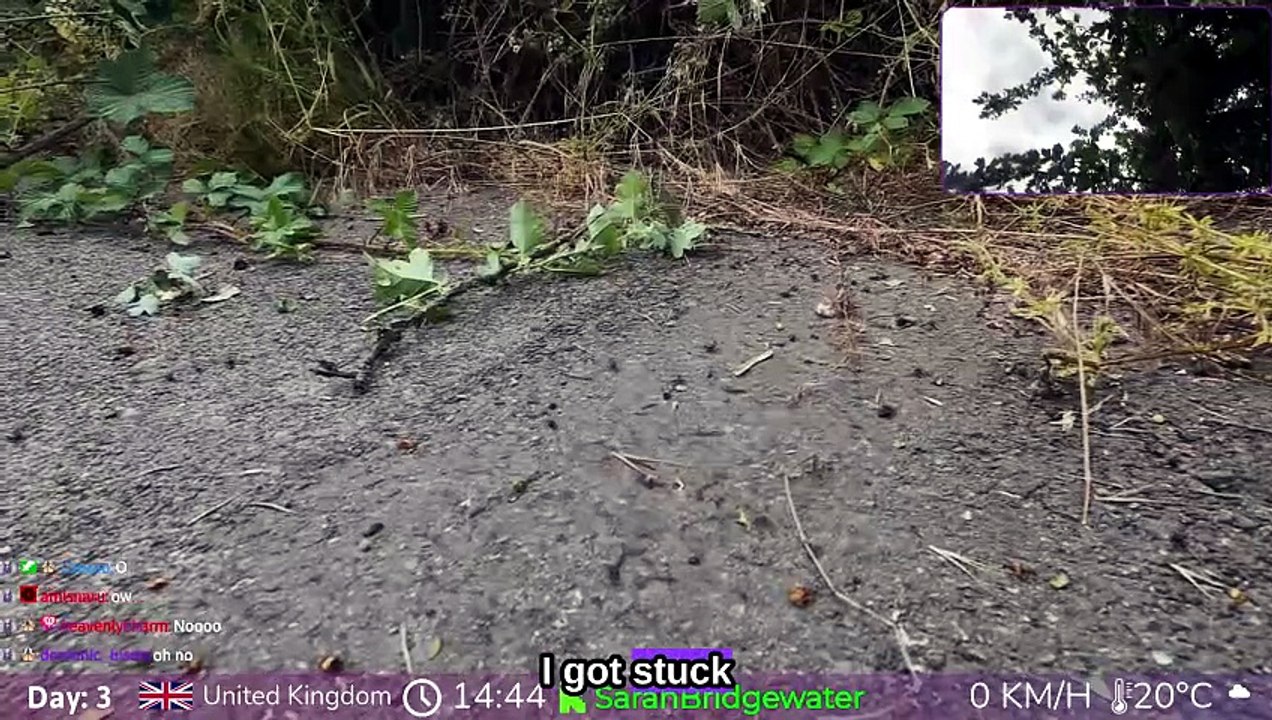 Just Chatting #525: "Crashed into a bush!"