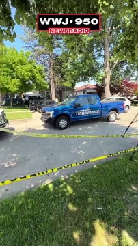 Animal Control working to rescue dozens of cats in Redford hoarder house
