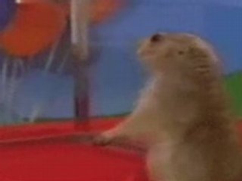 1 Minute Dramatic Chipmunk  Prairie Dog