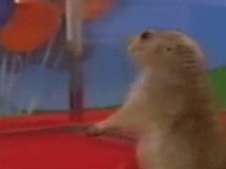 1 Minute Dramatic Chipmunk  Prairie Dog