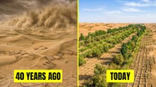 China Buried Tons of Dead Straw Under the Desert... The 40-Year Result Is Shocking