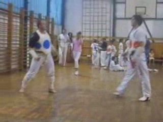 taekwondo klub cro star mostar