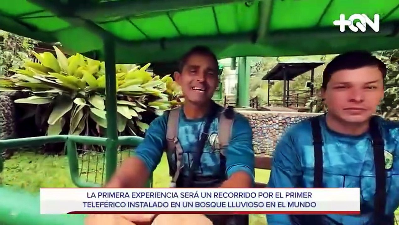 mqn-lo-que-se-ve-desde-la-copa-de-los-arboles-en-este-bosque-lluvioso-costarricense-no-tiene-comparacion-140526 [Full Movie]
