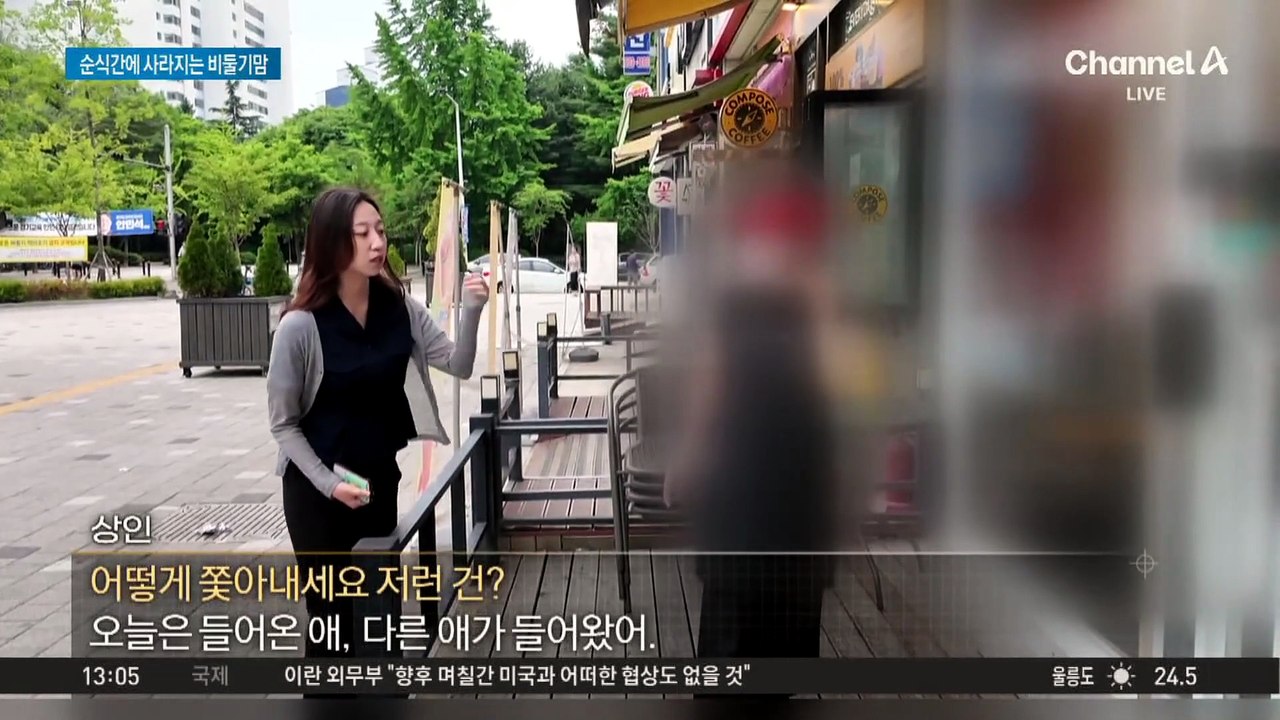 [현장 카메라]먹이 뿌리고 10초 만에 사라지는 비둘기맘