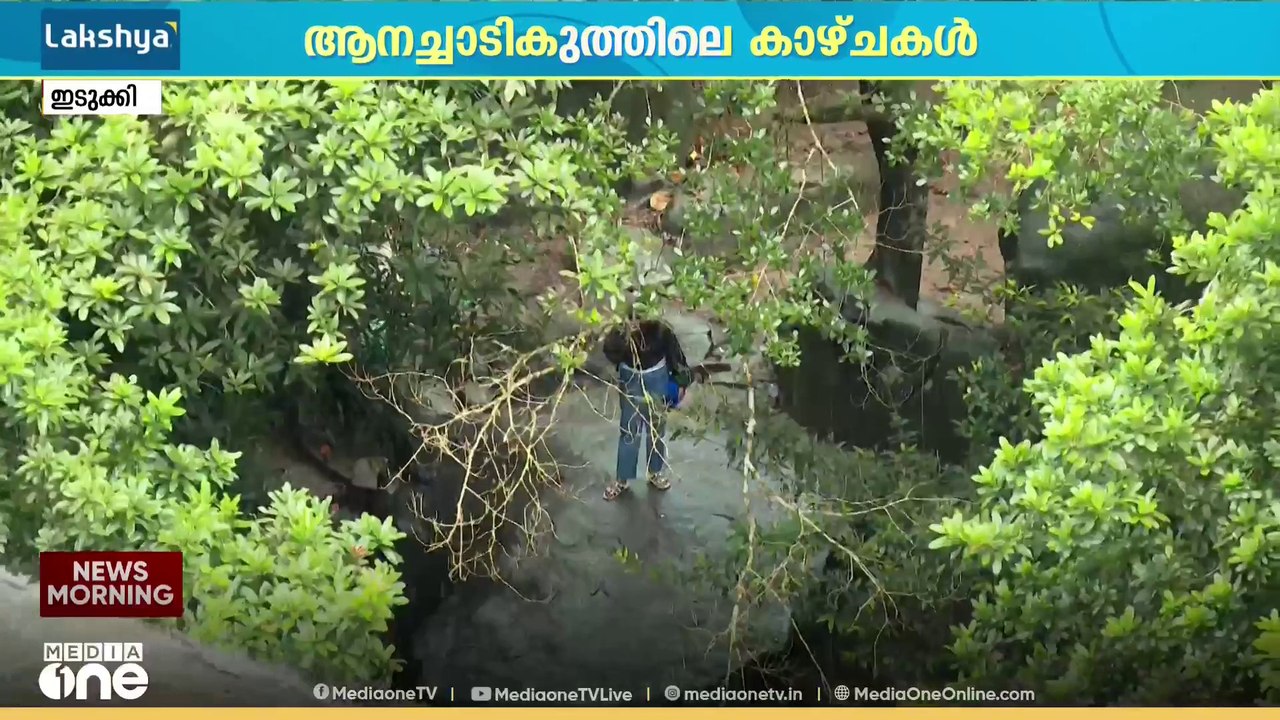 കാലവർഷം ശക്തമായതോടെ ഇടുക്കിയുടെ മല നിരകൾ ജലസമൃദ്ധിയിലേക്ക്