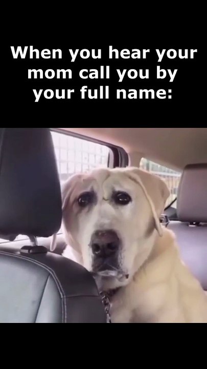 When Mom's Mad 😨