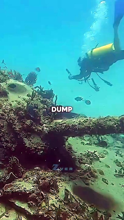 Why the U.S Threw Tanks Into the Ocean