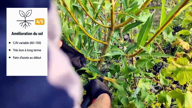 [Paillage][classement] 2 paillages notés 7/10. #potager #jardinage #paillage
