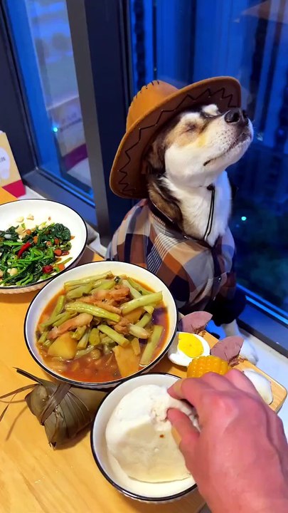 This Cowboy Dog's Reaction to Food is Everything! 😂🐶