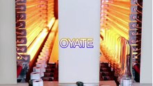 Infrared Heating Lamp for PET Blow Molding Machine Quartz Heating Tube for Bottle Preform Heating System 800mm 220V 1000W 1500W Replacement Heater