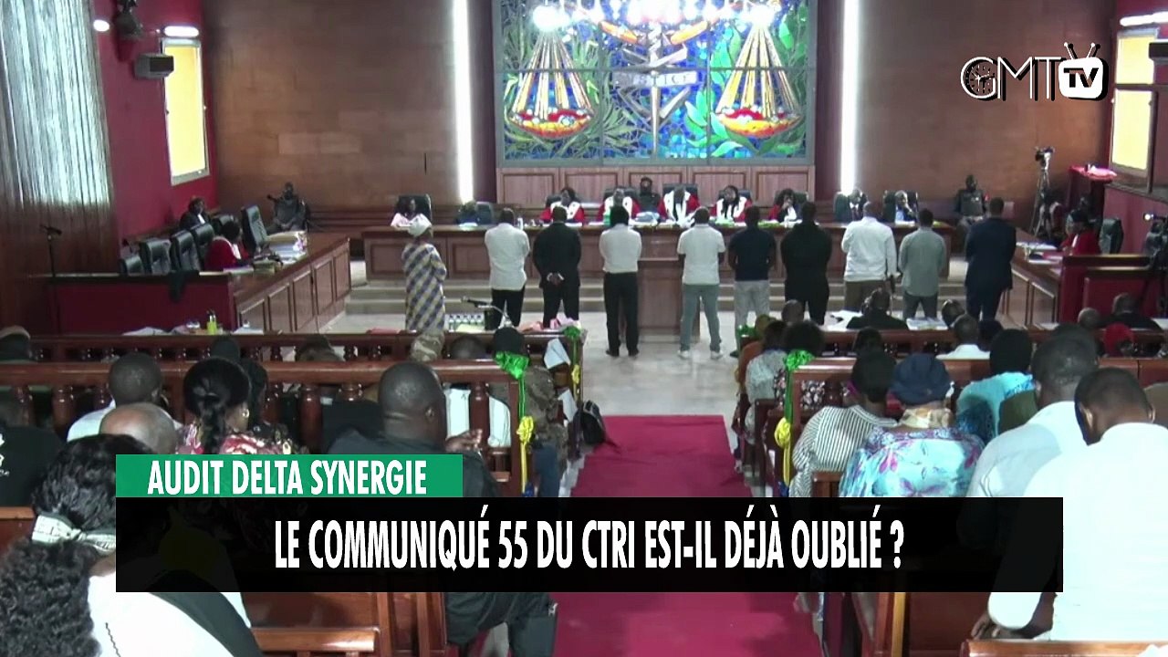 [#Reportage] Audit Delta Synergie : le communiqué 55 du CTRI est-il déjà oublié ?