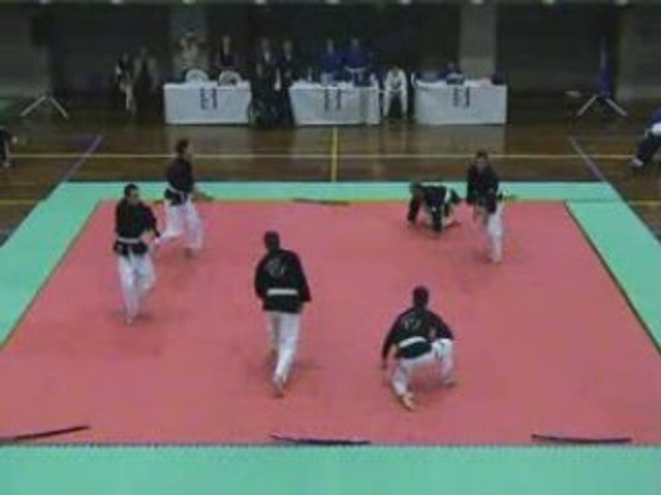 Demo team ju jitsu - NERE