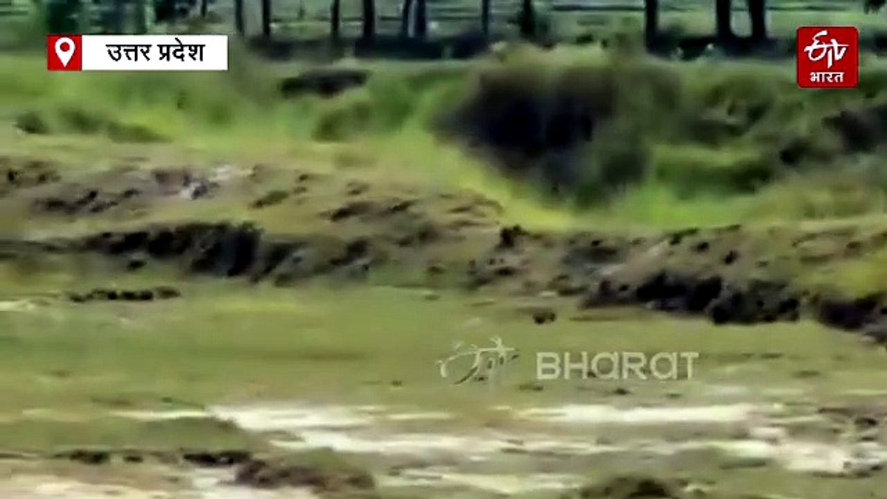 श्रावस्ती में तेंदुए की दस्तक; दो ग्रामीणों पर हमला, तलाश के लिए तीन टीमें बनीं