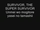 Hironobu Kageyama - Super Survivor