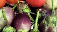 Tomato Brinjal Potato Bajji 😋 | Perfect Side Dish for Idli & Dosa