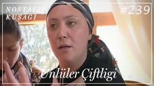Ünlüler Çiftliği Kolaj #239