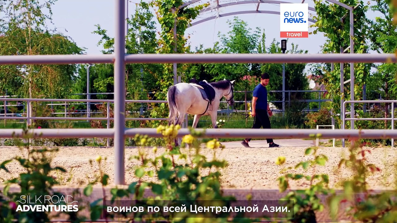 Лошади, наследие и новое поколение наездников