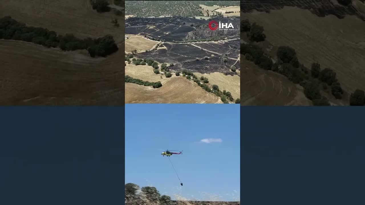 Uşak'ta çıkan yangında 300 dekar ekili alan zarar gördü