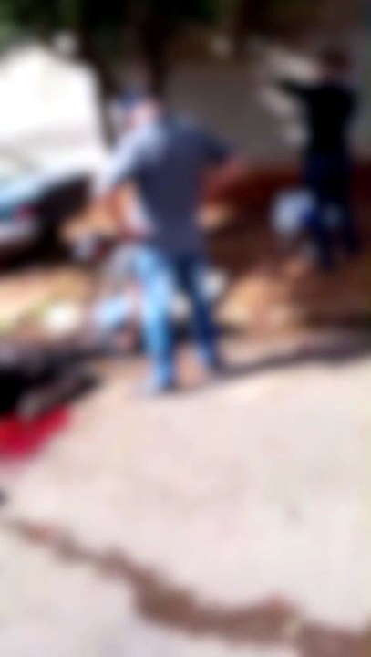 Puxado por caminhonete, burro cai em bueiro, quebra patas e é sacrificado em Umuarama