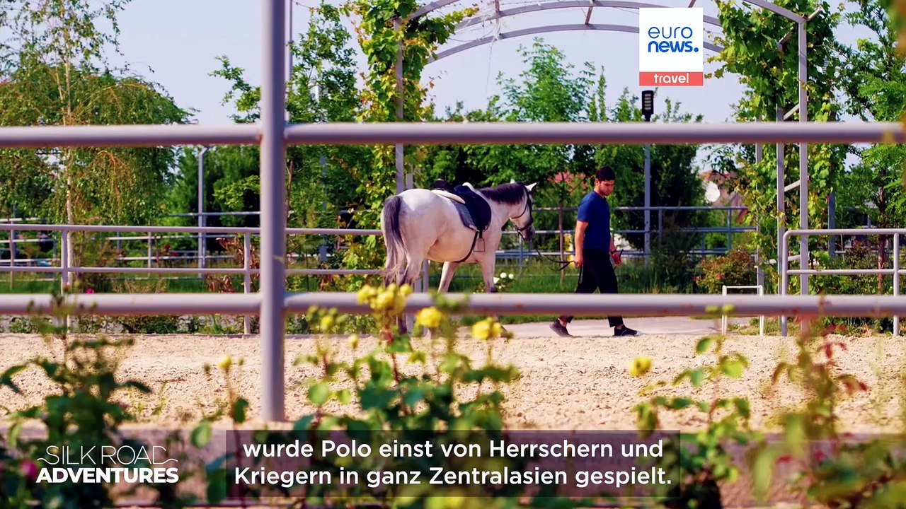 Pferde, Tradition und neue Reitergeneration