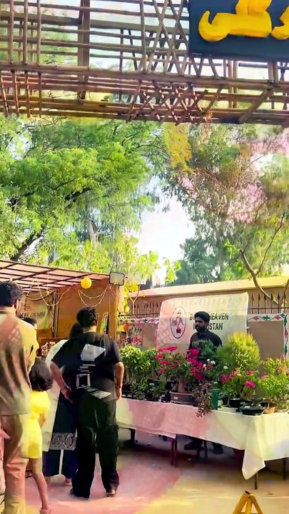 Pakistan’s Mango Magic! 140 Varieties, Punjab Culture & A Festival Full of Flavors