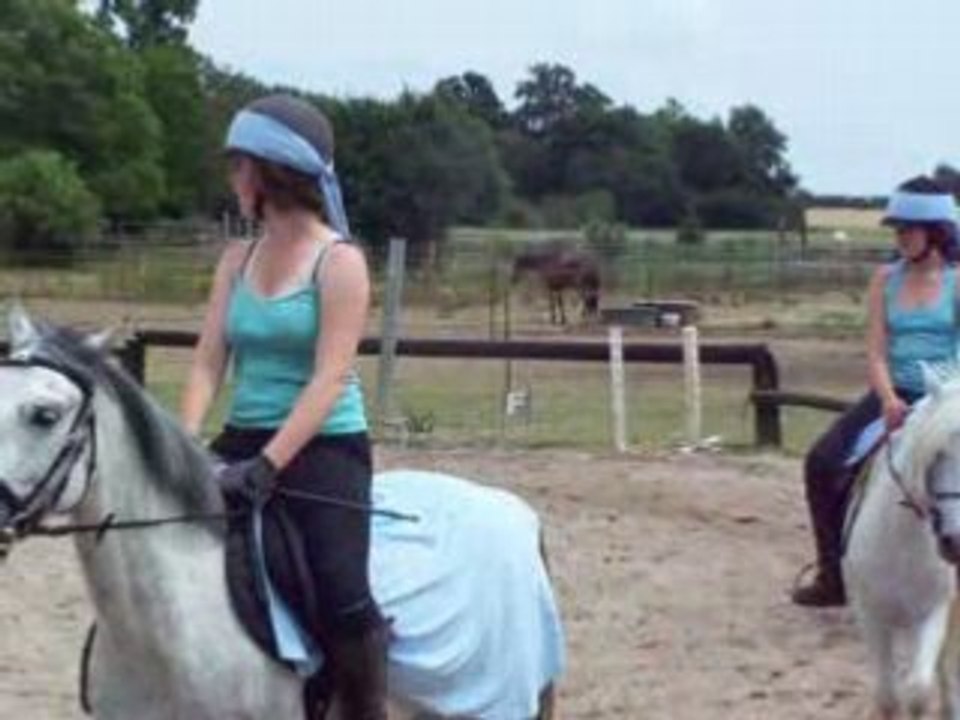 Photo 004