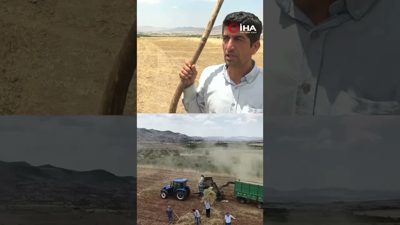 Sıcağa Meydan Okudular! Tarlada Hem Çalışıp Hem Oynadılar
